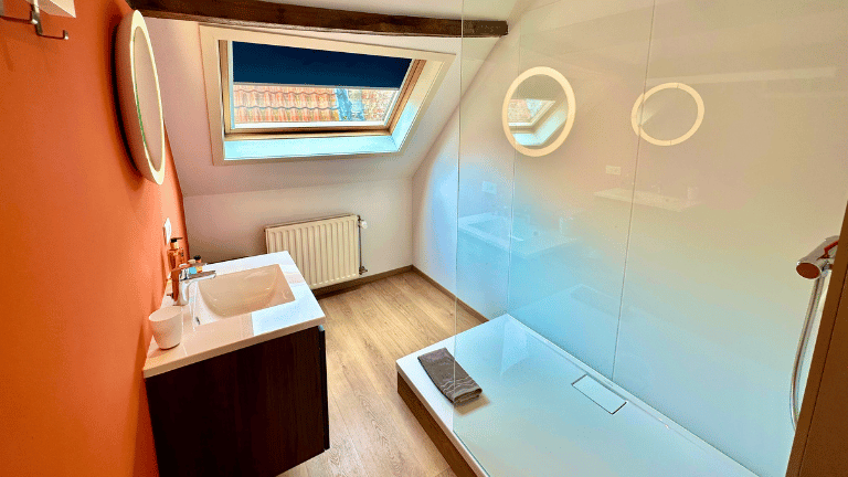 Bathroom in a city center apartment in Bruges with a shower, sink, hand towels, and toiletries.